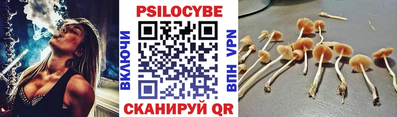 Псилоцибиновые грибы Magic Shrooms  Асбест 